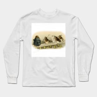 “Guinea Pig Garden” by Beatrix Potter Long Sleeve T-Shirt